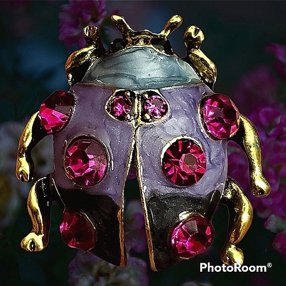 Enamel & rhinestone multicolor ladybug brooch. - Picture 1 of 6